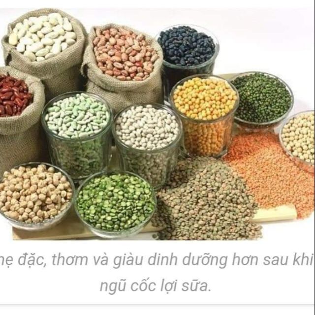 NGŨ CỐC LỢI SỮA 15 LOẠI HẠT