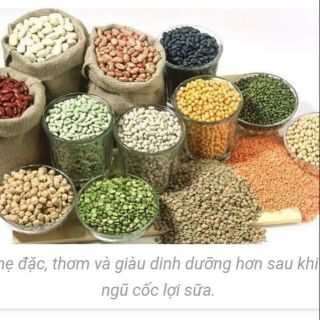 Ngũ cốc lợi sữa 15 loại hạt