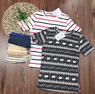 Áo thun gân - thun lụa zara