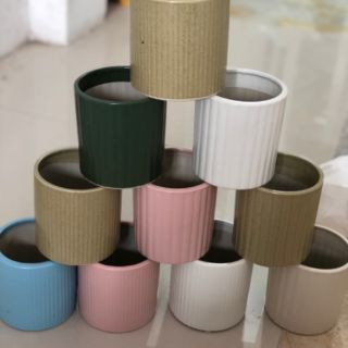 Chậu sứ trồng cây