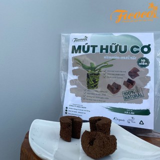 10 viên mút xốp hữu cơ - FICOCO - ươm kei lan, cây trồng