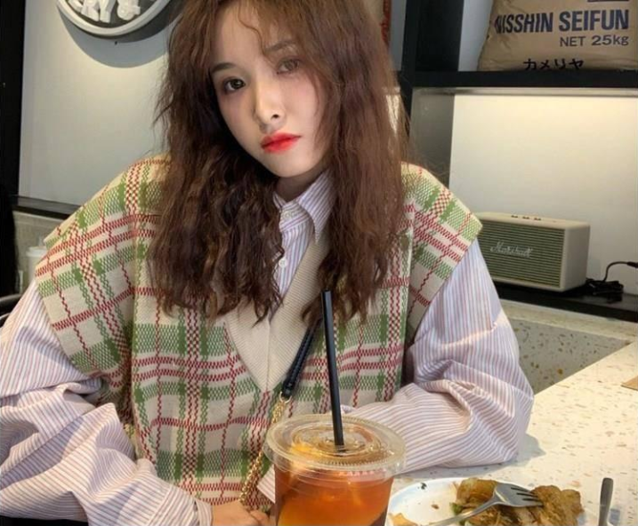 New Korean V-neck Plaid women's Vest
