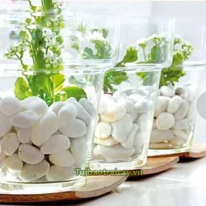 0.5kg sỏi trắng trang trí kích thước 1x2cm - GT37.1
