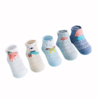 Lô set 5 đôi tất Tiny alpaca