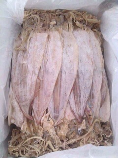 Mực khô Vân Đồn size 20con/kg