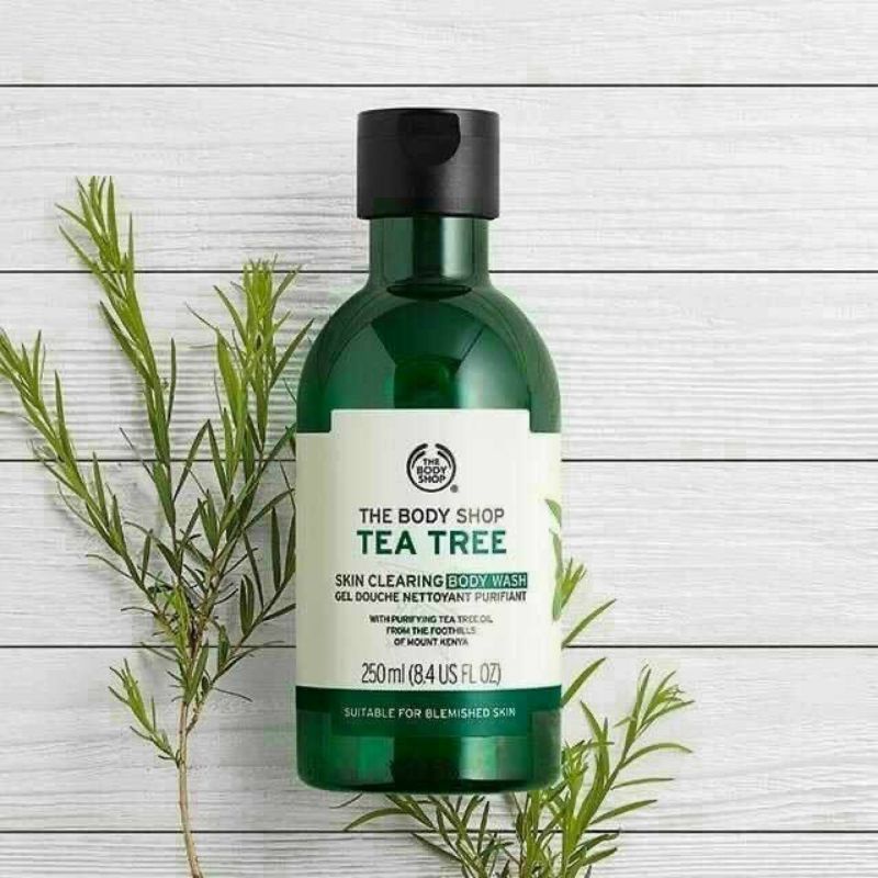 Sữa tắm Tea Tree