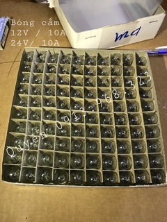 BÓNG CẮM DEMI (COMBO 5 QUẢ)