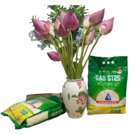 {Chính hãng} [Free ship] Gạo đặc Sản Sóc Trăng ST25 của VINASEED - Gạo ngon nhất Thế Giới 2019