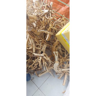 LŨA THUỶ SINH - LŨA HẢI SA QUỲ ( HÀNG ĐẸP TUYỂN CHỌN ĐỦ SIZE HỒ)
