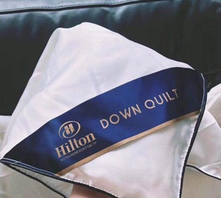 Ruột Chăn Hilton
