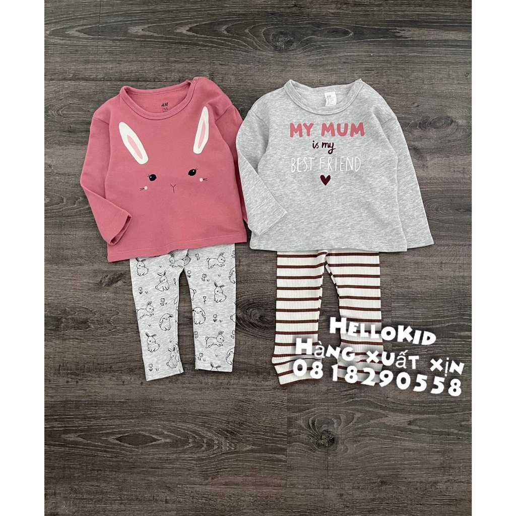 B434 - Bộ nỉ da cá quần legging HM bé gái