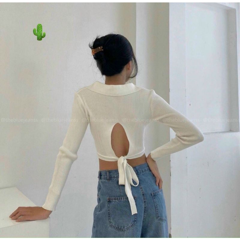 Áo croptop cổ V hở lưng siêu hot (A15.BC)