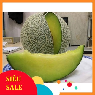 10 Hạt giống Dưa lưới tròn (lõi xanh) (tặng gói kích nẩy mầm và hướng dẫn) VIETPHAT
