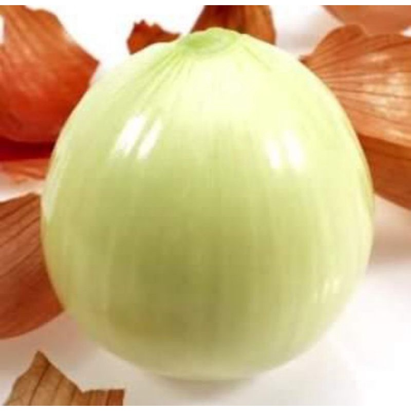 hành tây đà lạt 500