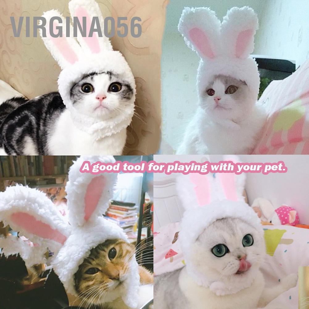 Có thể bán buôn Mũ tai thỏ chuyên nghiệp Dễ thương Trang phục thú cưng Cosplay Cat Cap Accessaries Virgina056 Hàng giao ngay