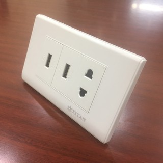 Mặt 1 ổ cắm đơn 2 chấu 2 ổ usb titan white