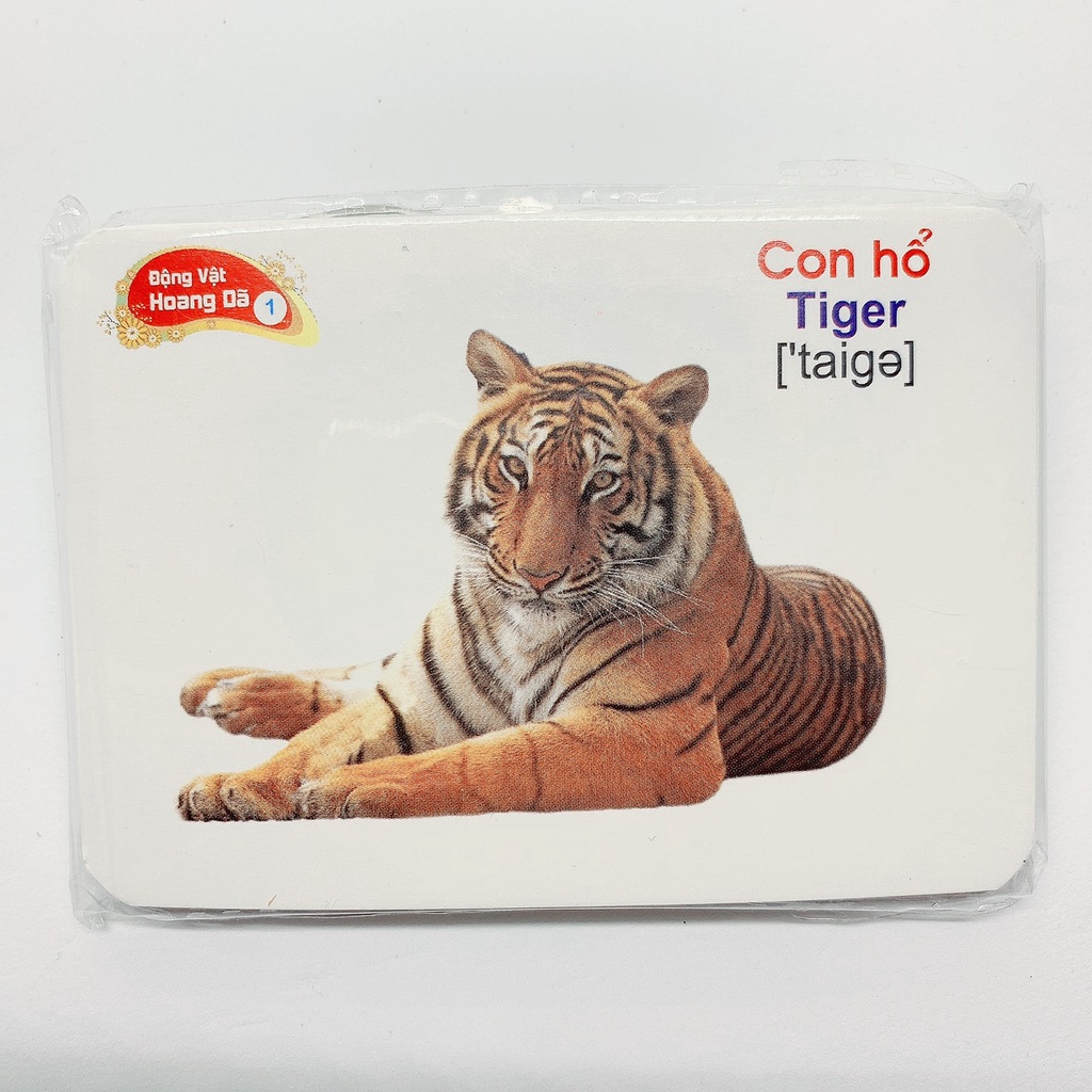 Bộ thẻ học FLASH CARD 16 chủ đề song ngữ Anh - Việt (có phiên âm) 416 thẻ giúp bé làm quen với thế giới xung quanh