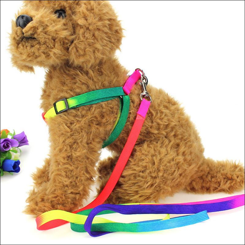 Dây Dắt Chó Mèo - Dây Dắt Chó Mèo Kèm Đai Yếm 7 Màu