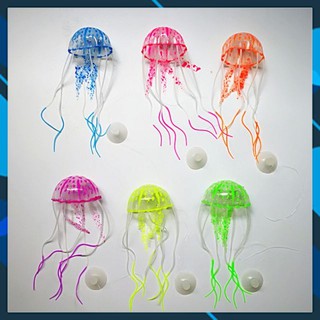 Sứa Giả Bỏ Hồ Cá