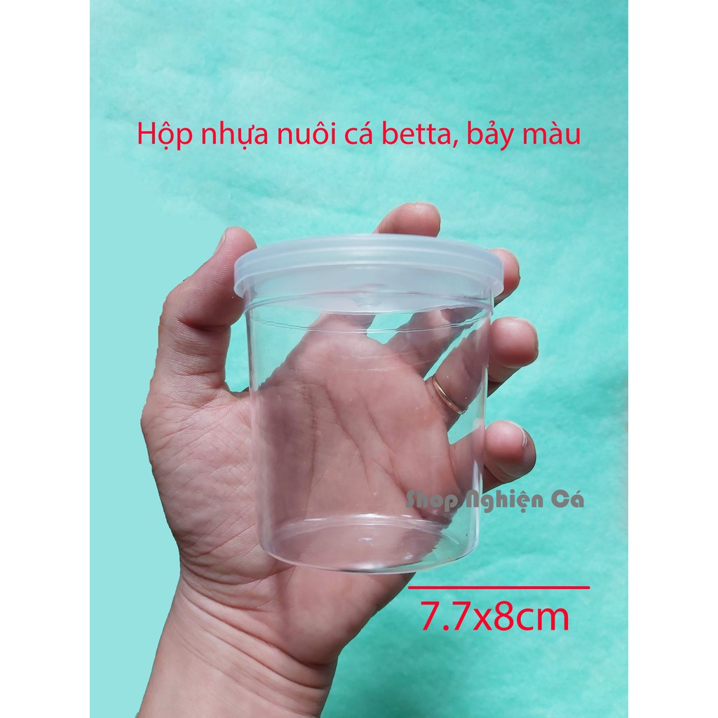  Combo 5 Hộp nhựa nuôi cá betta, bảy màu 8x8cm