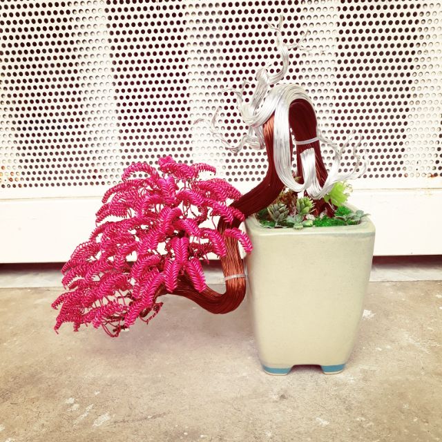 Bonsai handmade dây đồng