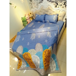 Chăn hè COTTON POLY trần bông 3 lớp (Được chọn mẫu)