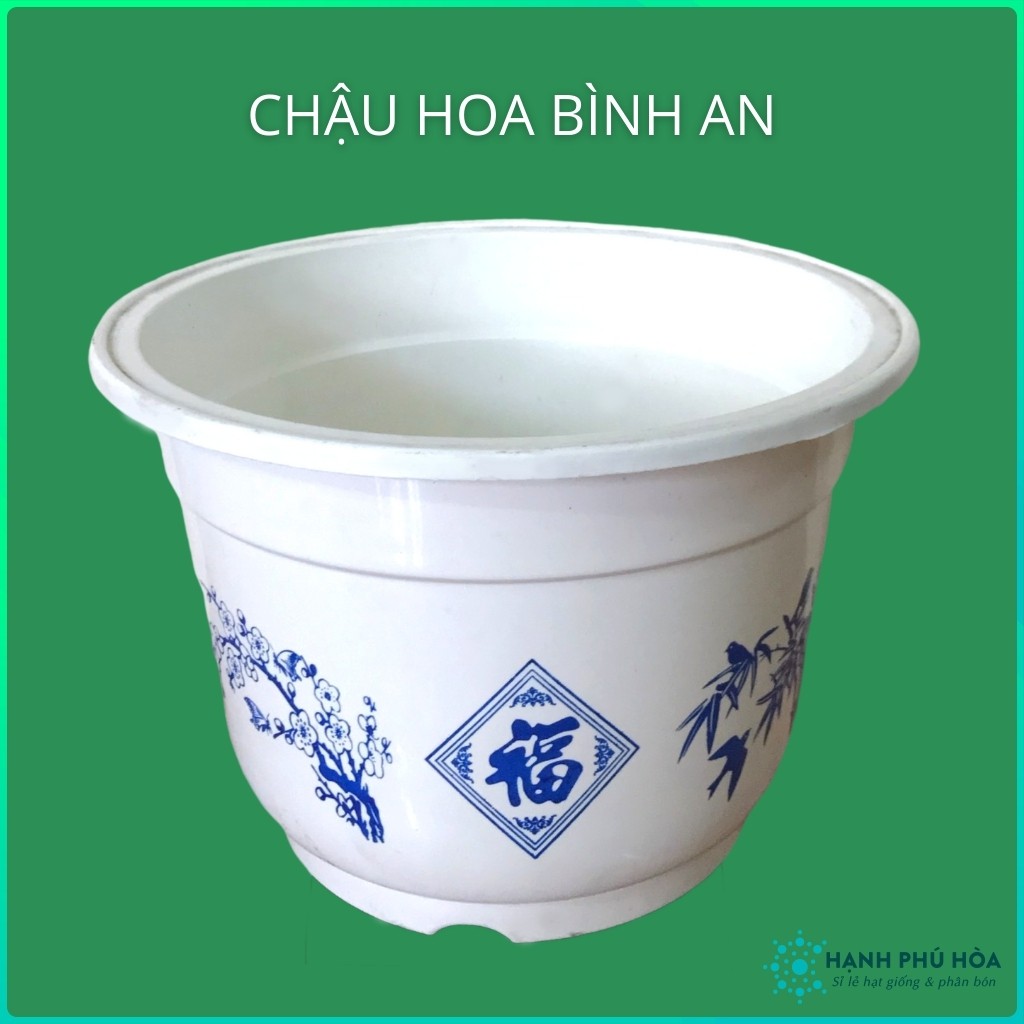 Chậu Nhựa Tròn Trồng Hoa Lan, Cây Kiểng Bình An Xanh Kích Thước 25cm, 28cm - Chậu Nhựa , Đẹp, Nhẹ, Chắc Chắn, Có Hoa Văn