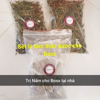 Lá tắm trị nấm cho Boss