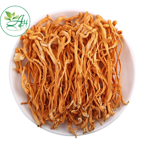 Đông Trùng Hạ Thảo 100gr Sấy Khô Sợi To Ngon Hàng Cao Cấp Bồi Bổ Cơ Thể