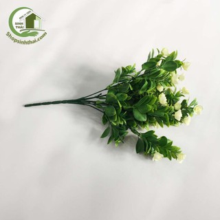 Bụi cây hoa nhài