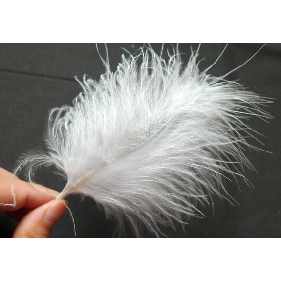 Set 10 lông vũ màu trắng tự nhiên 8-15cm dùng để trang trí quần áo