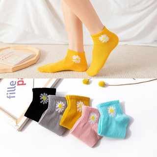 Combo 10 đôi tất hoa cúc hottrend có túi