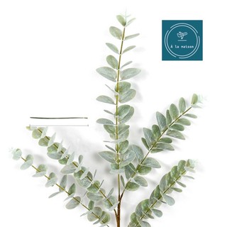 Hoa lá giả - Cành khuynh diệp cao cấp 100cm 5 nhánh lớn, dòng lá decor trang trí tiệc cưới, nhà cửa.