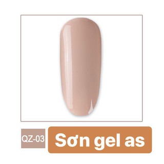 Sơn Gel AS tone màu Nâu ( mã QZ - chai đen )