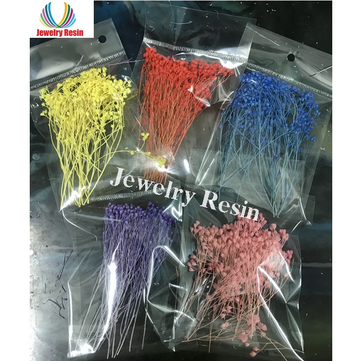 Hoa Khô Baby Bloom 20K Phần như hình