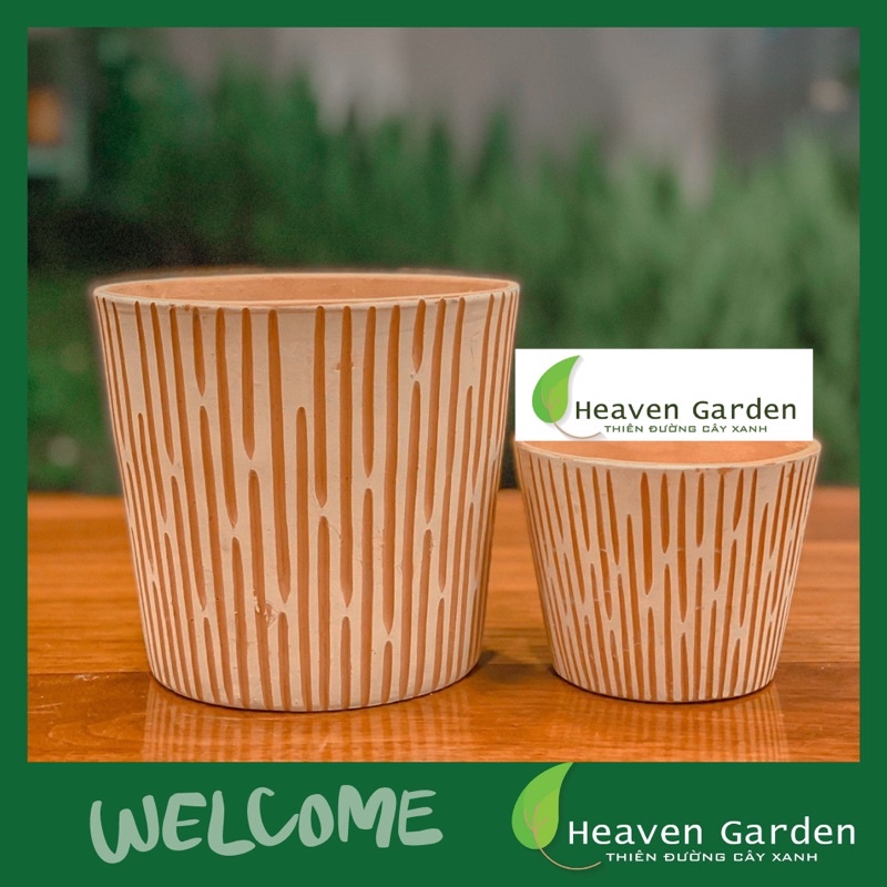 Chậu đất nung loe Vintage hoa văn size - chậu trồng cây