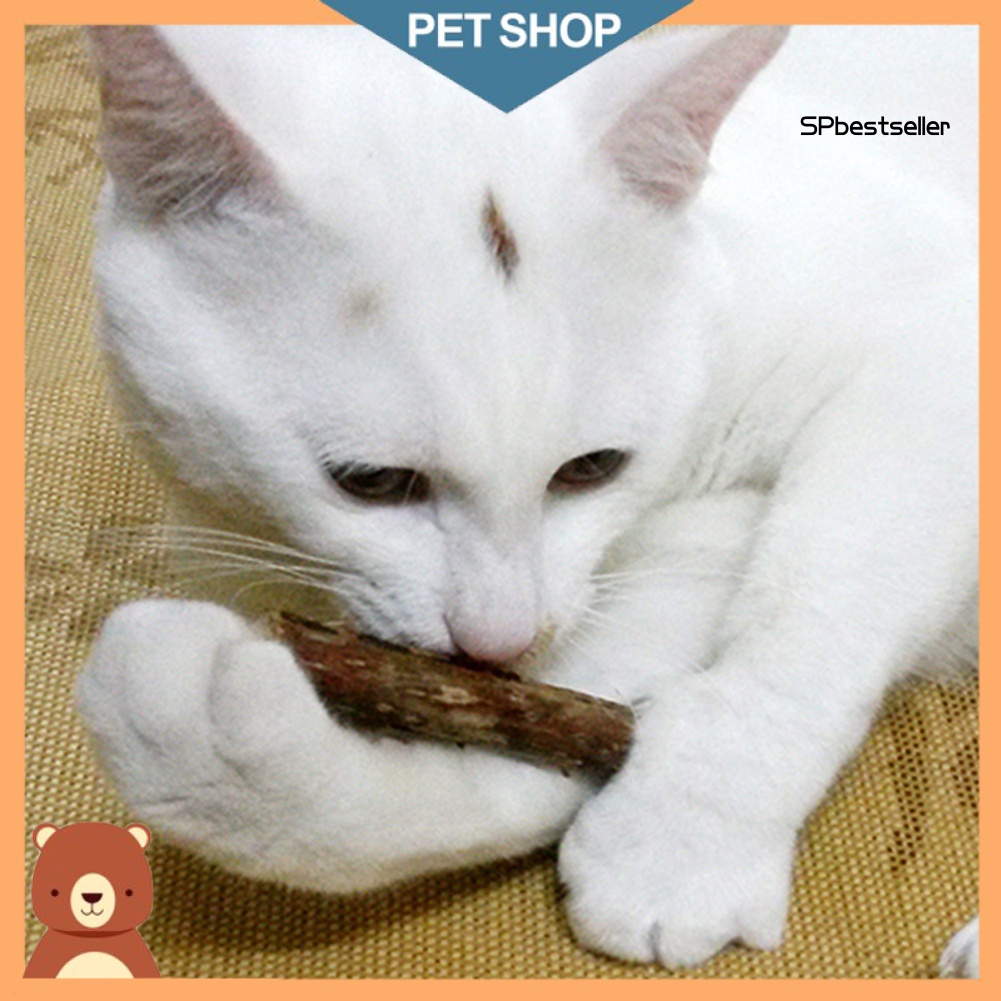 1 Túi 5 Gói Thức Ăn Cho Mèo