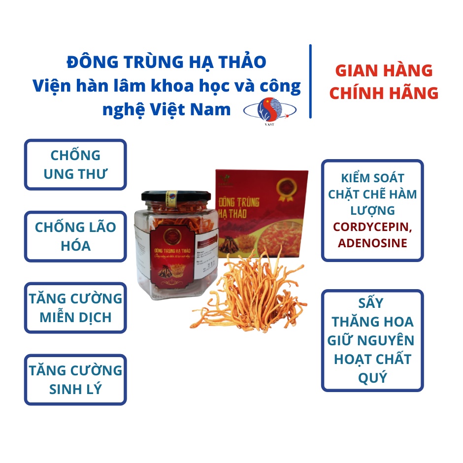 Đông Trùng Hạ Thảo Viện Hàn Lâm Khoa Học Công Nghệ Việt Nam sấy thăng hoa