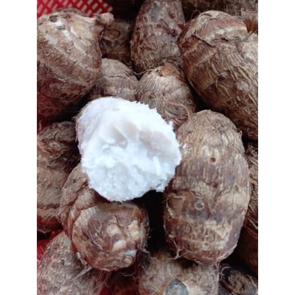 1kg khoai sọ