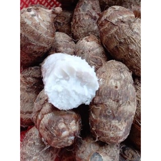 1kg khoai sọ