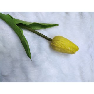 Hoa lá trang trí chụp hình