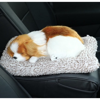 CHÓ BÔNG HÚT ẨM KHỬ MÙI Ô TÔ | Đại Việt auto