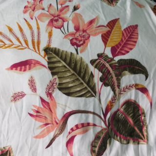 Com bo chị phượng -7