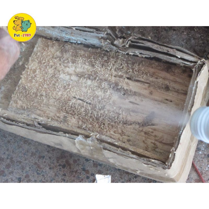 [GIÁ RẺ]THUỐC DIỆT MỐI PMC90DP DIỆT SẠCH TẬN GỐC