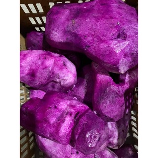 (1kg)KHOAI MỠ TÍM