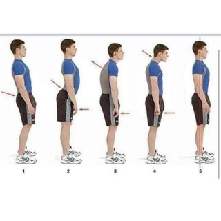 Đai Lưng Chống Gù Nhật Bản
