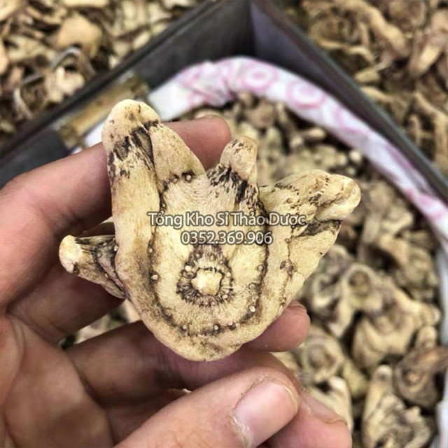 Bạch Cập 500g
