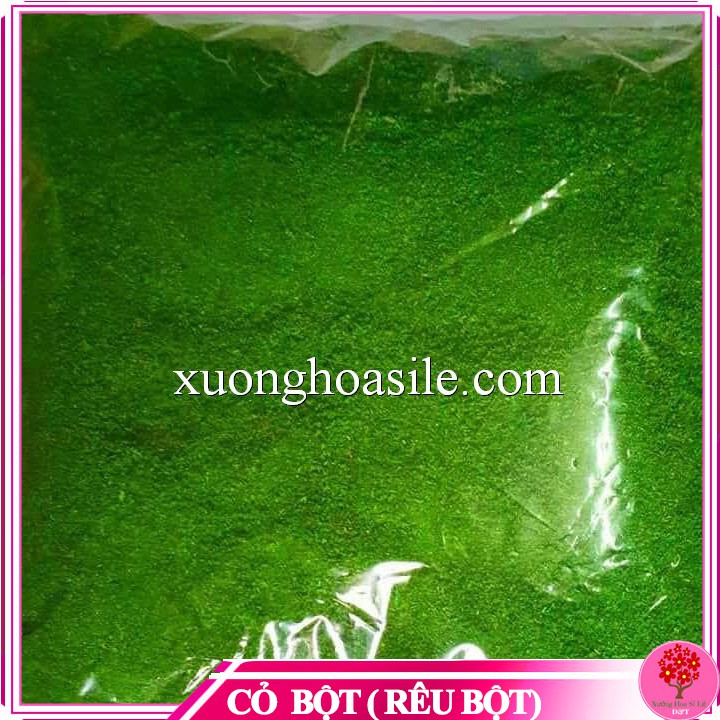 1KG CỎ BỘT RÊU BỘT TRANG TRÍ CHẬU CẢNH
