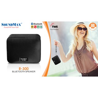 Loa di động SoundMax R-300
