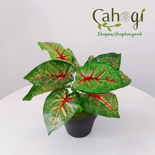 Cây Giả - Cây Khoai Môn Đốm Xanh Nhựa(không kèm chậu)